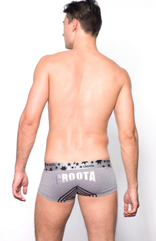 Blue Tang Hipster Boxer Brief by Croota gray