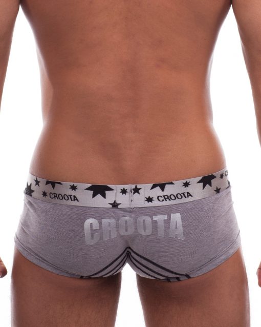 Blue Tang Hipster Boxer Brief by Croota gray