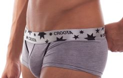 Blue Tang Hipster Boxer Brief by Croota gray