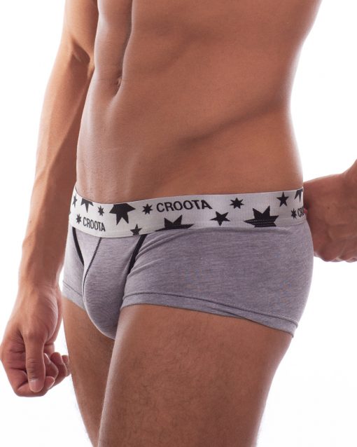 Blue Tang Hipster Boxer Brief by Croota gray