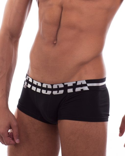 CT03_BLACK with Silver Satin Striped Waistband